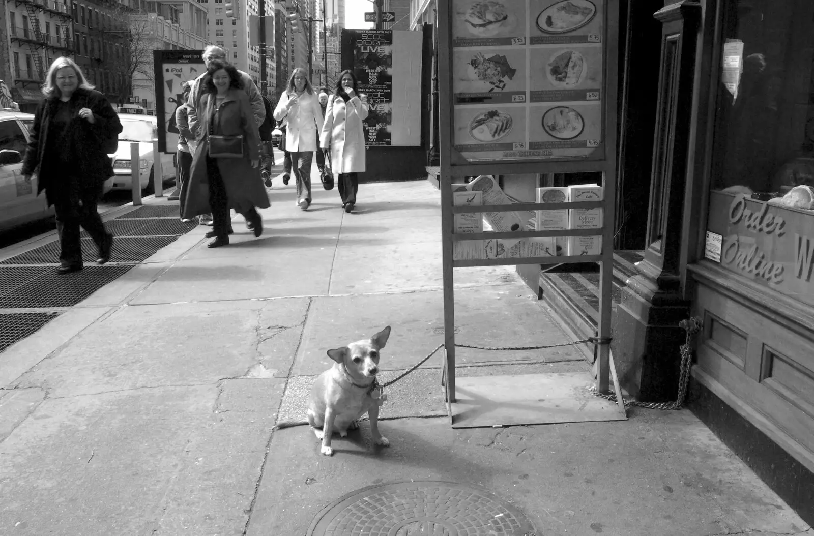 A small dog with perky ears looks pitiful, from A Central Park Marathon, Les Paul at the Iridium Club and an Empire State Sunset, New York, US - 25th March 2007