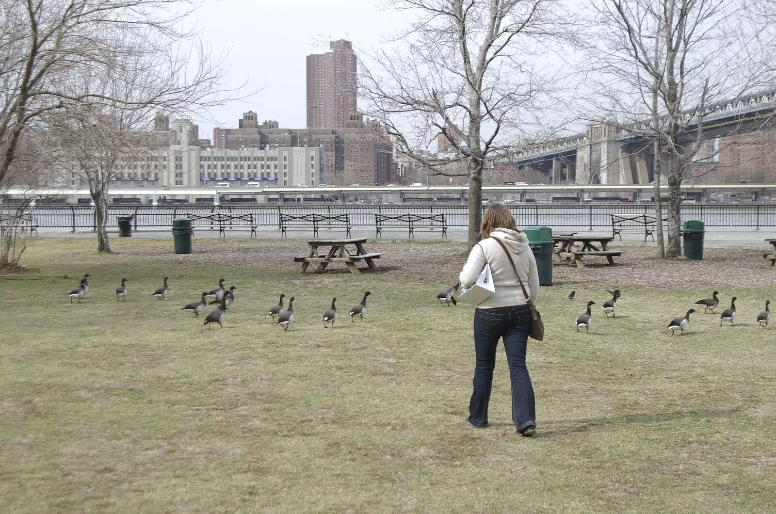 Isobel chases the geese, from Crossing Brooklyn Bridge, New York, US - 26th March 2007