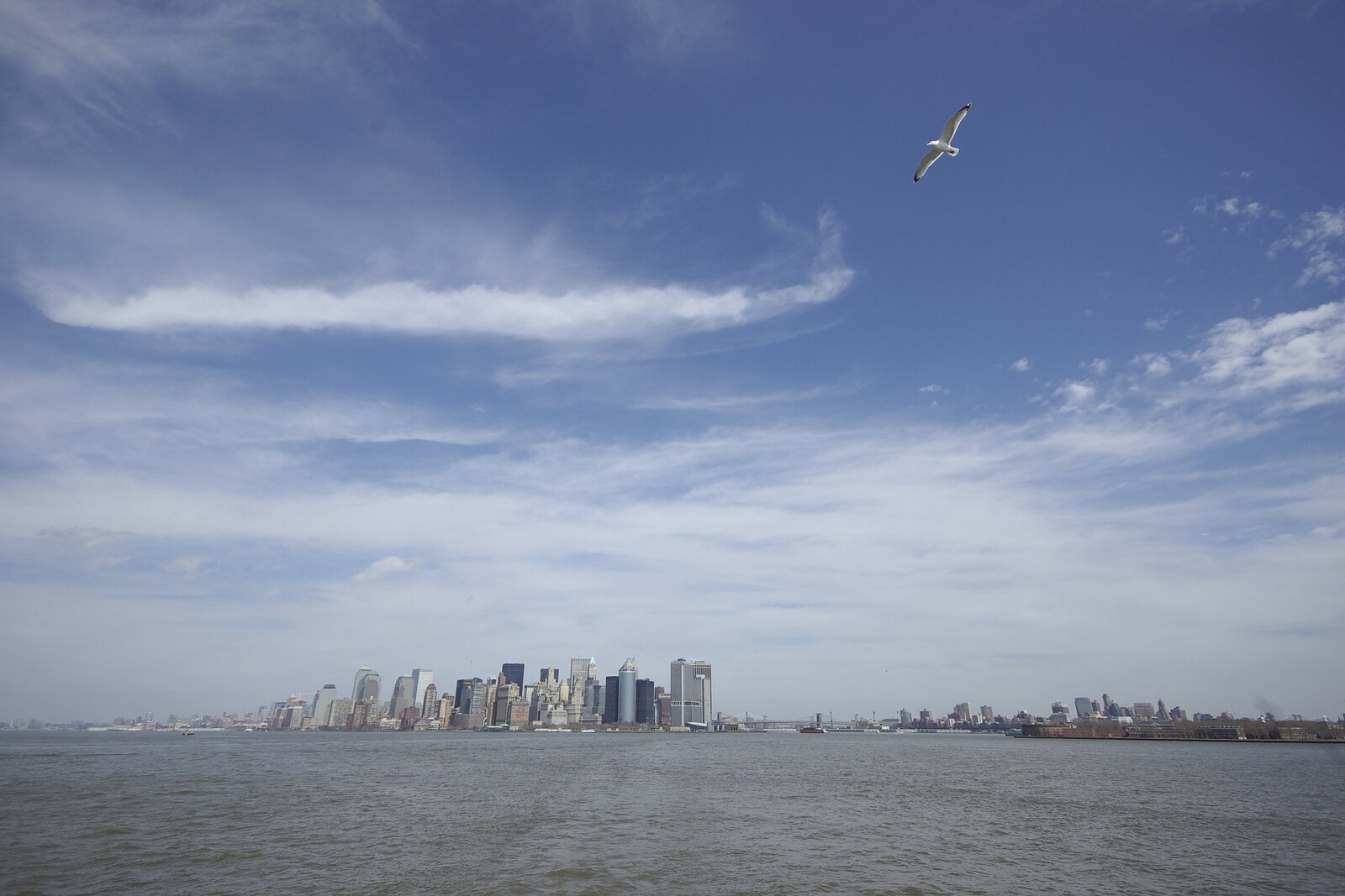 Another seagull shot, and Manhattan in the distance from Liberty Island, A Helicopter Trip and Madison Square Basketball, New York, US - 27th March 2007