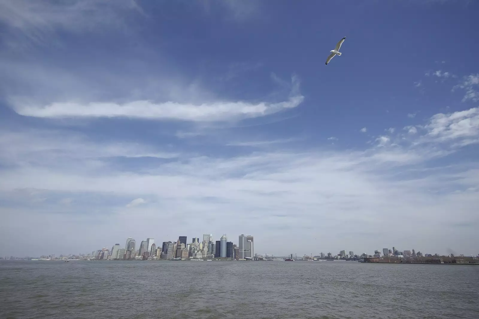 Another seagull shot, and Manhattan in the distance, from Liberty Island, A Helicopter Trip and Madison Square Basketball, New York, US - 27th March 2007