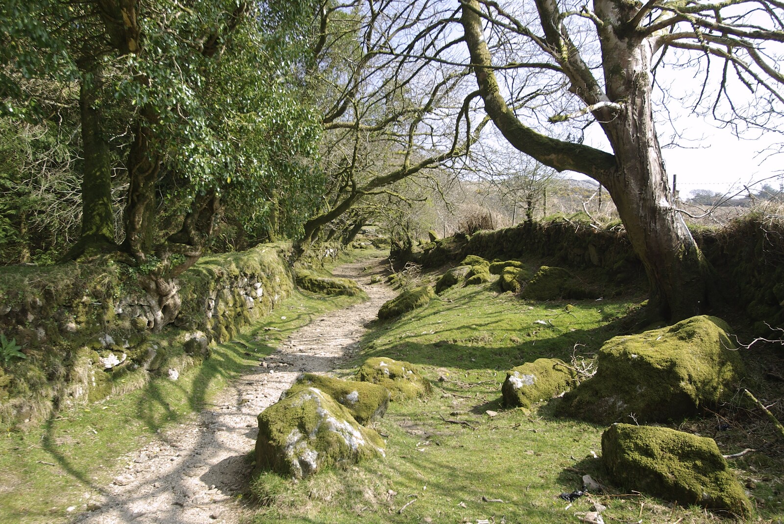 The path to Sheepstor from A Walk up Sheepstor and Visiting Sis and Matt, Dartmoor and Chagford, Devon - 9th April 2007
