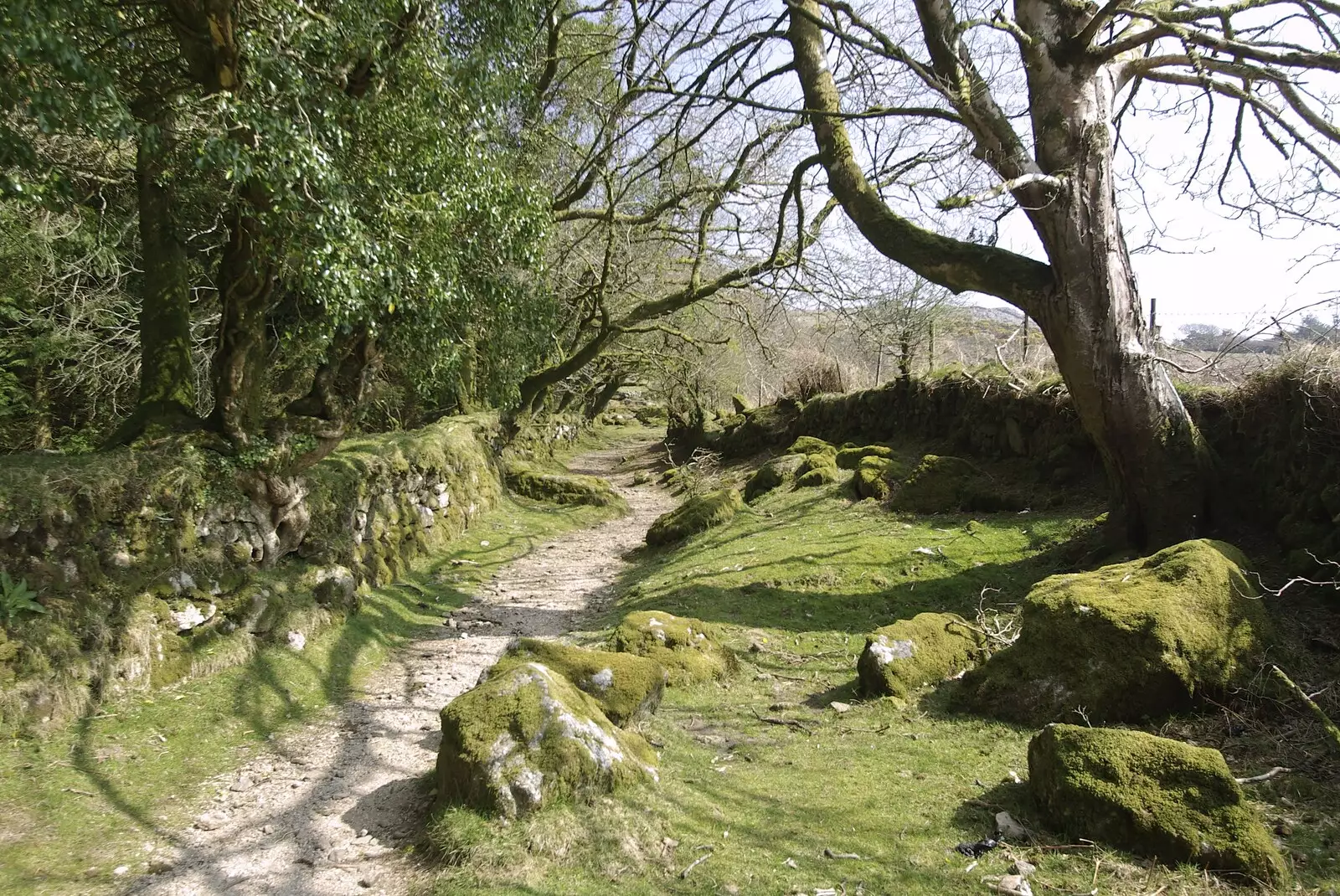 The path to Sheepstor, from A Walk up Sheepstor and Visiting Sis and Matt, Dartmoor and Chagford, Devon - 9th April 2007