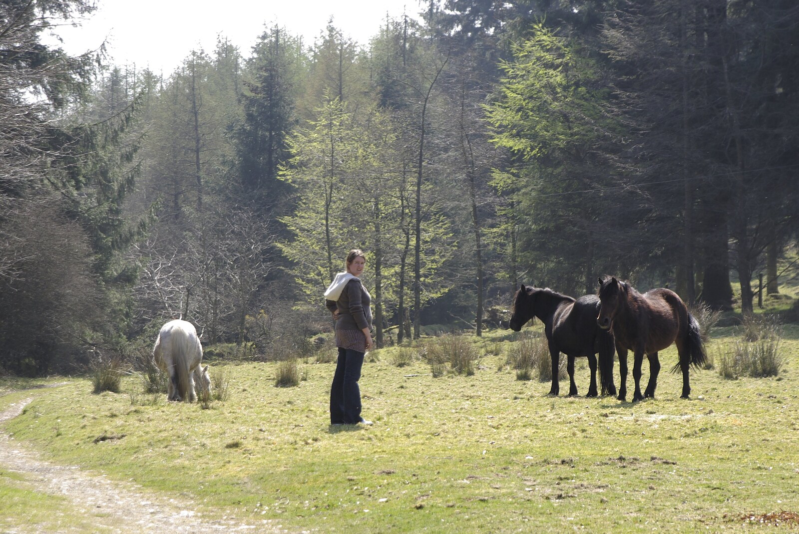 Isobel talks to some ponies from A Walk up Sheepstor and Visiting Sis and Matt, Dartmoor and Chagford, Devon - 9th April 2007