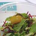 2007 Marc gets a slug in his salad