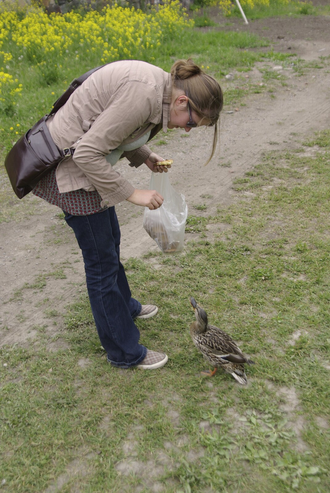 Genesis in Concert, and Suomenlinna, Helsinki, Finland - 11th June 2007: One of the ducks gets really keen