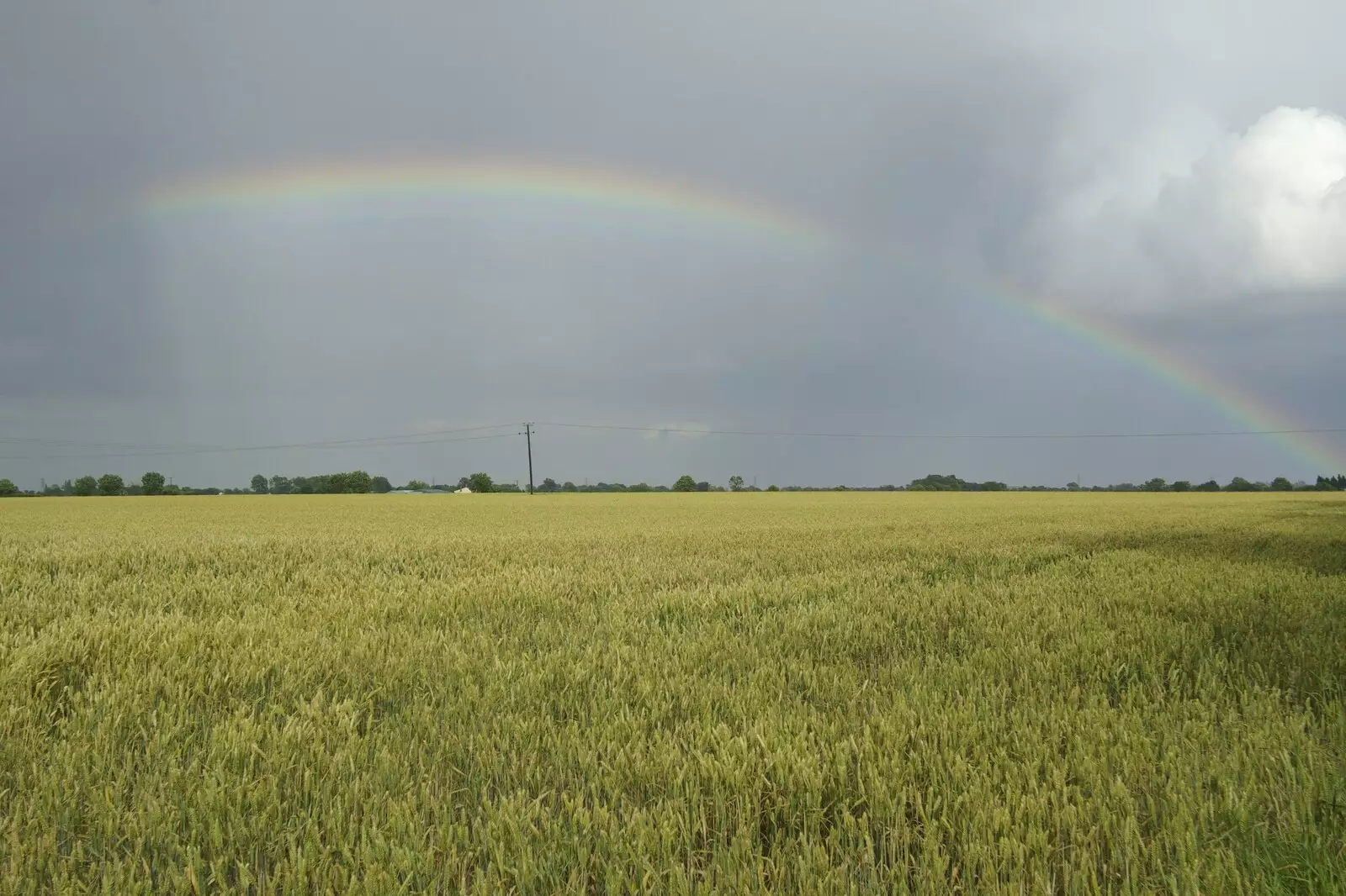 A rainbow over a Suffolk field, from Genesis Live at Twickenham, and Music on Parker's Piece, London and Cambridge - 8th July 2007