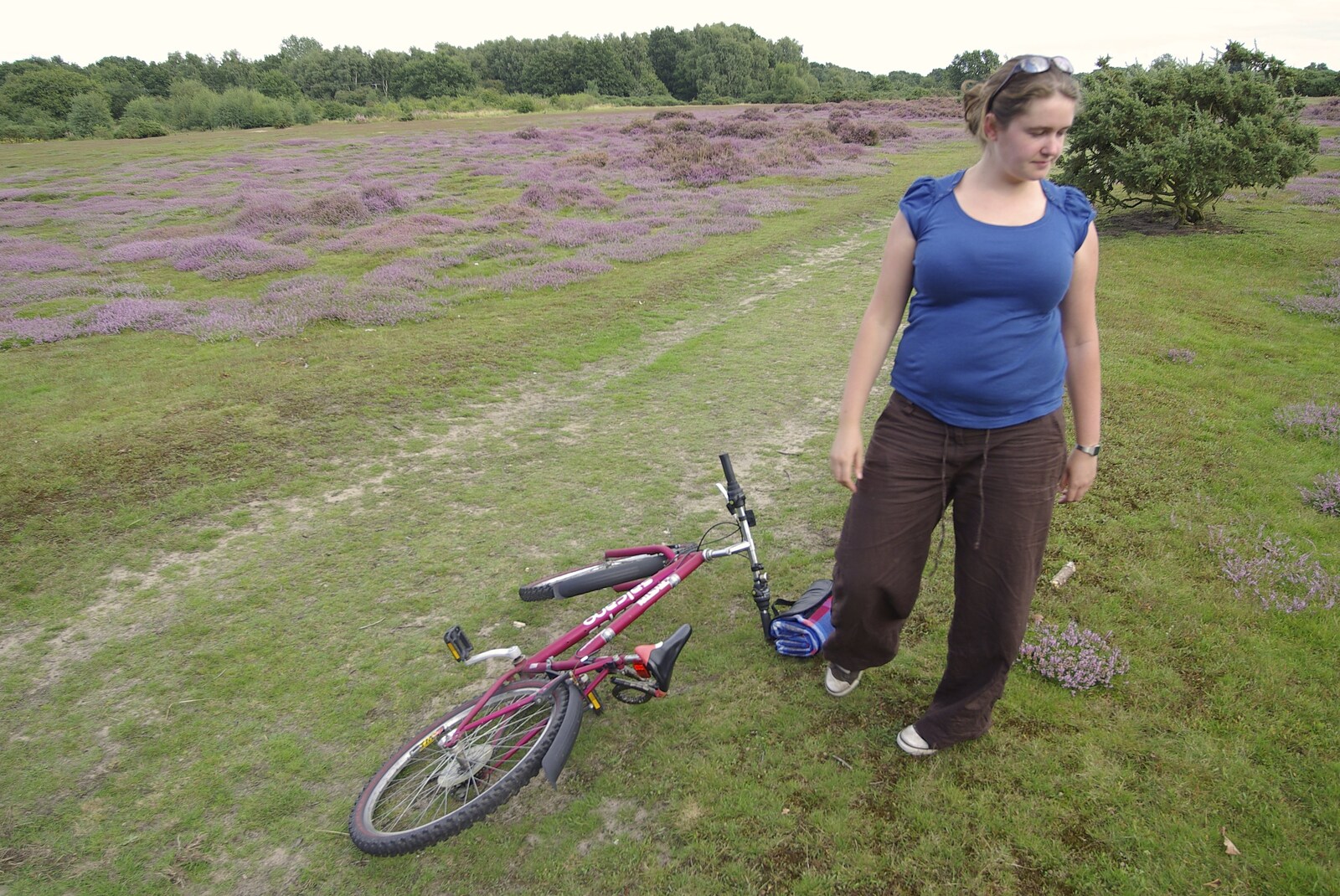 We wander a bit further, and park the bikes by the heather from A Picnic on The Ling, Wortham, Suffolk - 26th August 2007