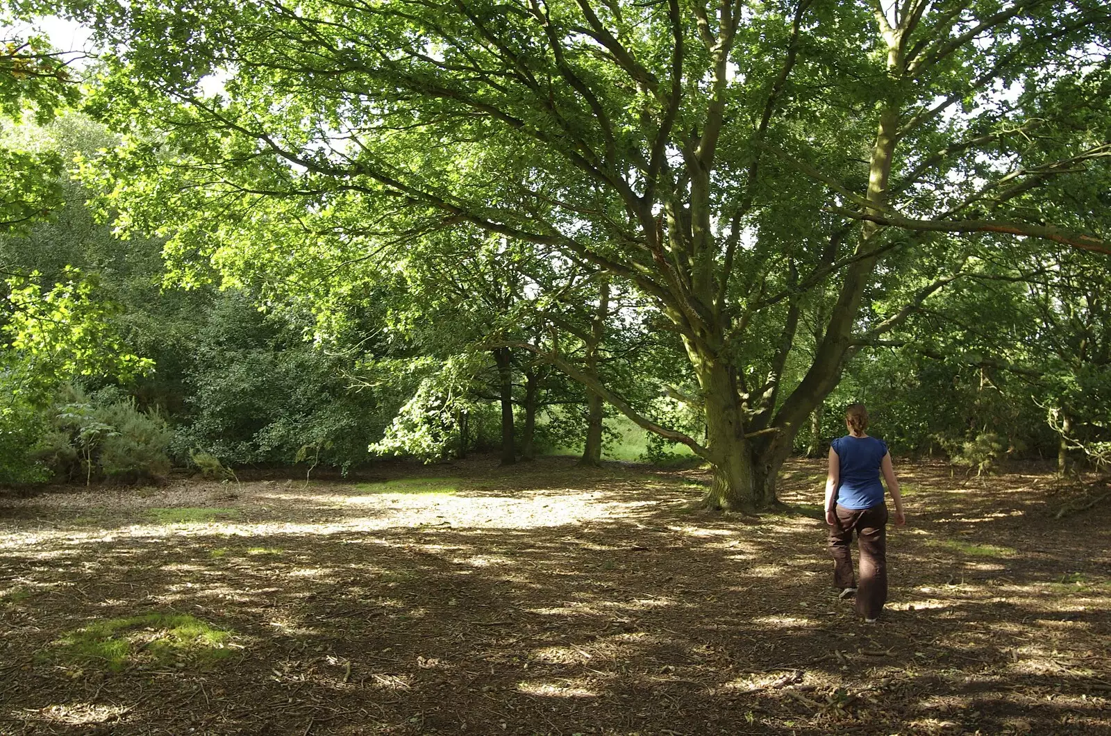 We find a nice clearing in the Oak trees, from A Picnic on The Ling, Wortham, Suffolk - 26th August 2007