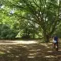 We find a nice clearing in the Oak trees, A Picnic on The Ling, Wortham, Suffolk - 26th August 2007