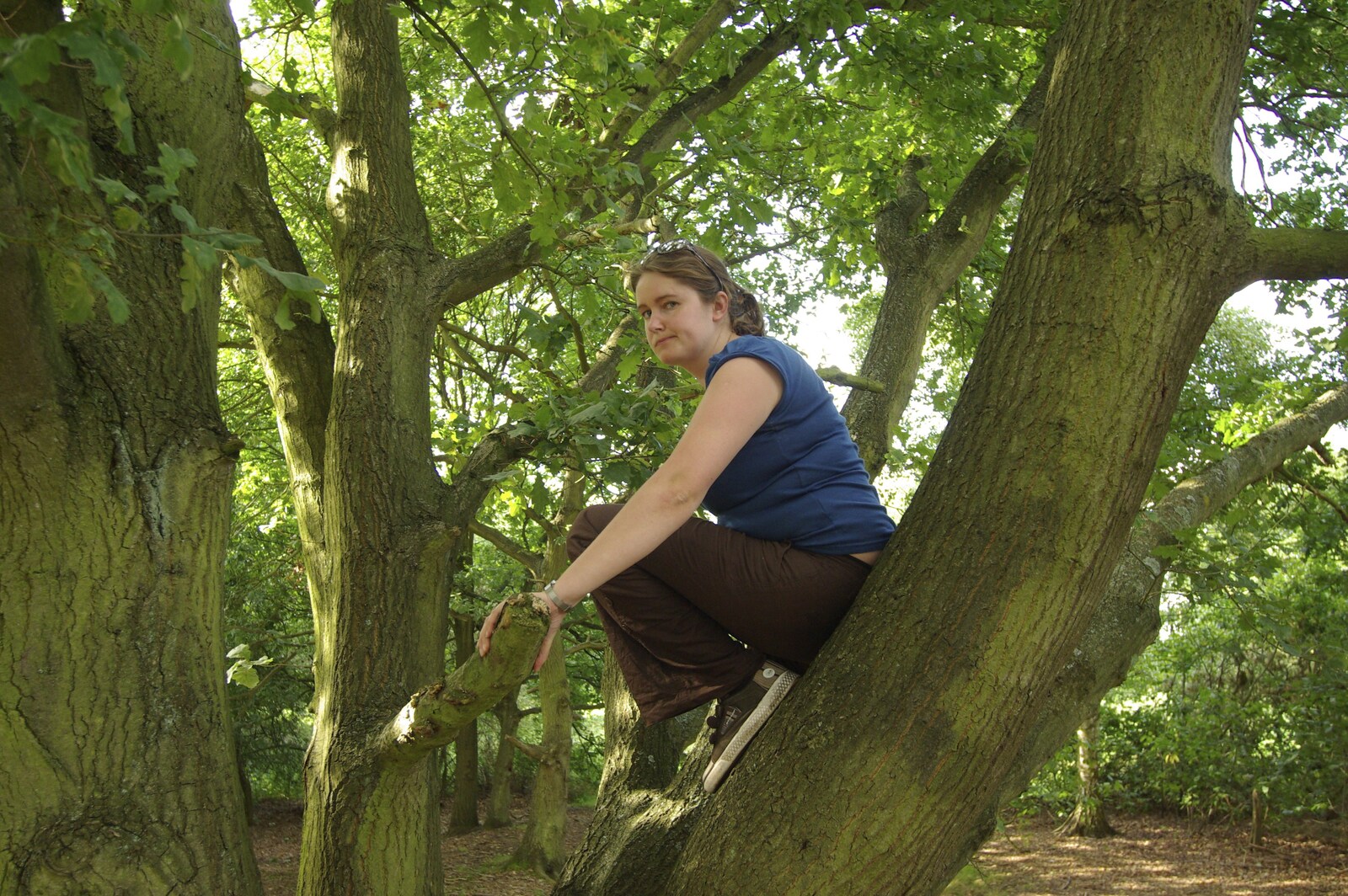Isobel climbs a tree from A Picnic on The Ling, Wortham, Suffolk - 26th August 2007