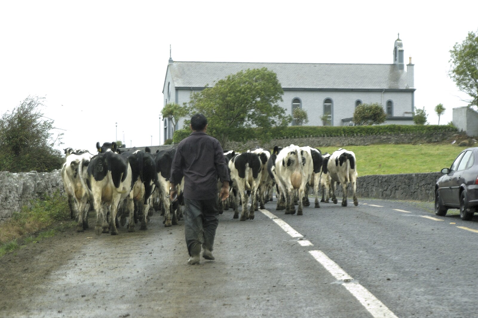 Kilkee to Galway, Connacht, Ireland - 23rd September 2007: The cow roadblock near a church