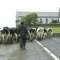 Kilkee to Galway, Connacht, Ireland - 23rd September 2007, The cow roadblock near a church