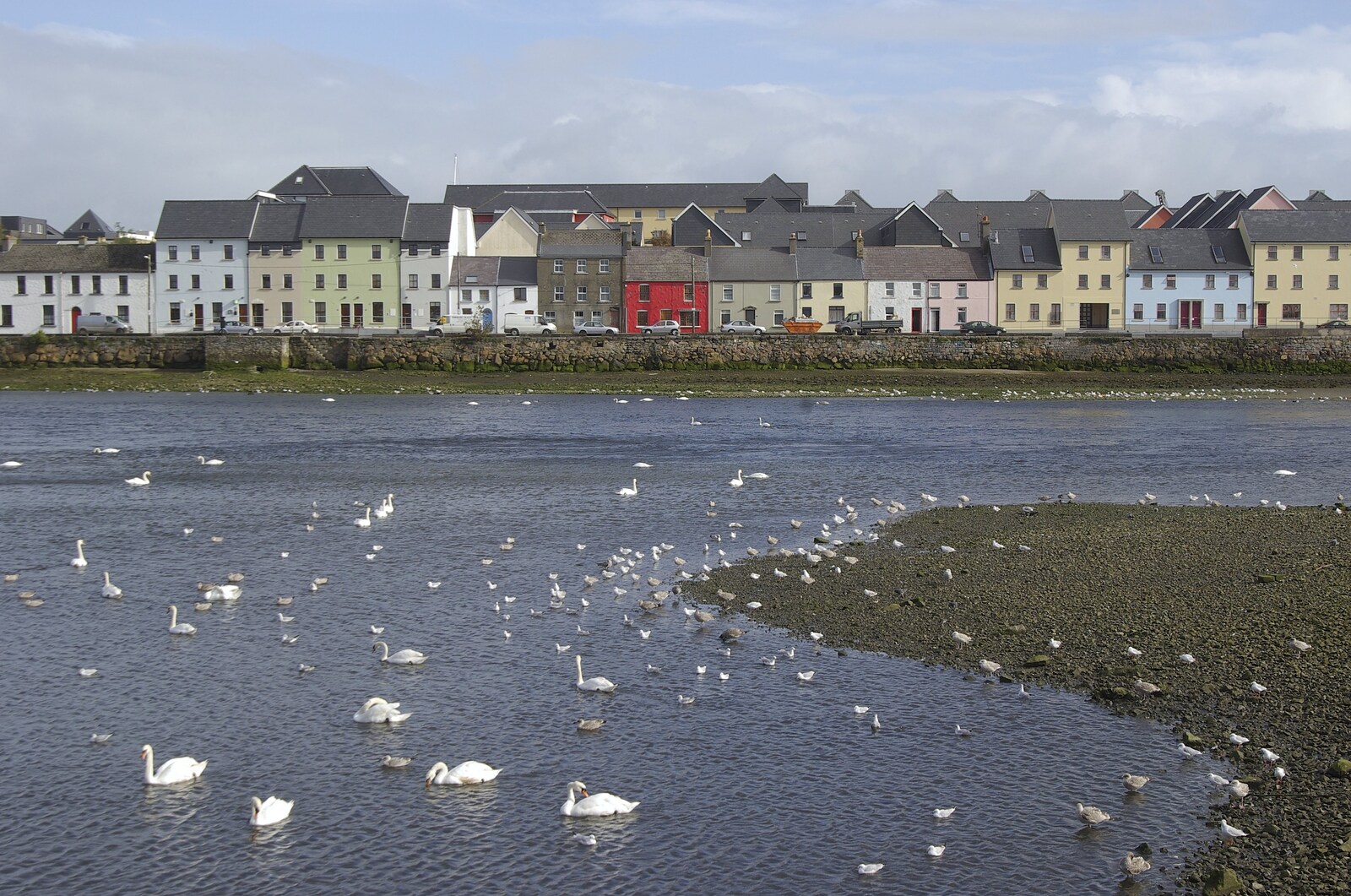 Kilkee to Galway, Connacht, Ireland - 23rd September 2007: Colourful houses and the swans of Galway