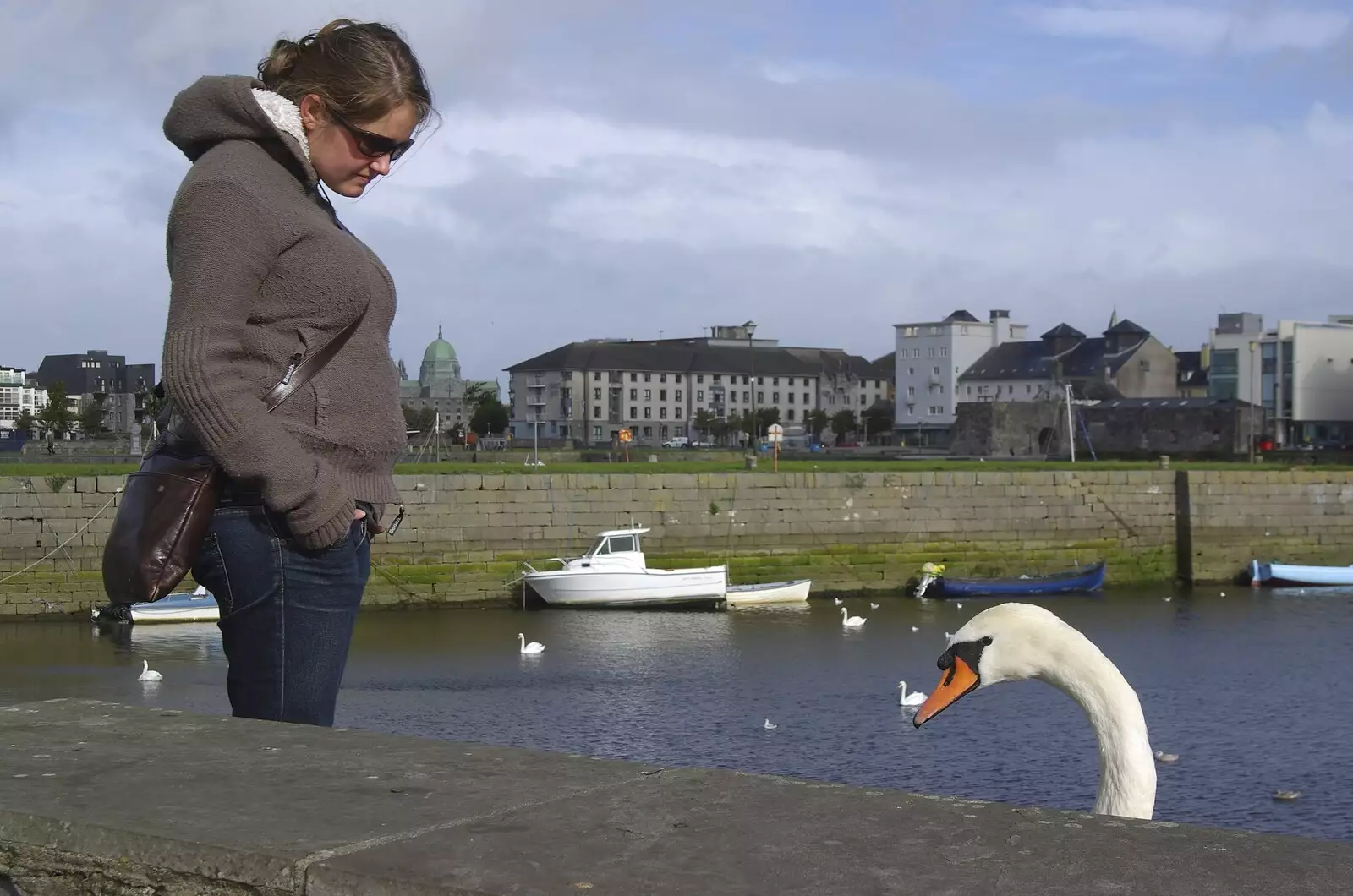 Isobel goes toe-to-toe with a swan, from Kilkee to Galway, Connacht, Ireland - 23rd September 2007