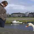 Isobel goes toe-to-toe with a swan, Kilkee to Galway, Connacht, Ireland - 23rd September 2007