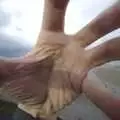 A hand in front of a fish-eye lens, Blackrock and Dublin, Ireland - 24th September 2007