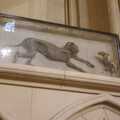 The mummified remains of a cat which chased a rat into the organ pipes