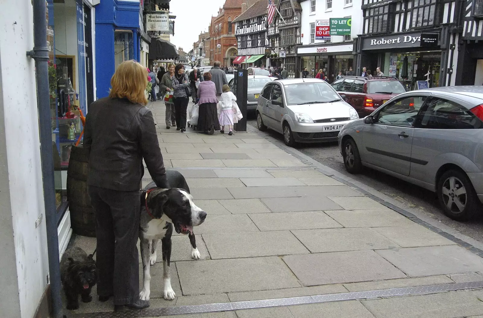 A Great Dane on the streets of Stratford, from A BSCC Presentation, and Matt's Wedding Reception, Solihull - 6th October 2007