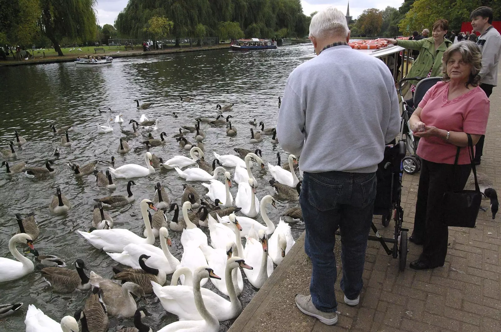 Some dude feeds the multitude of swans, from A BSCC Presentation, and Matt's Wedding Reception, Solihull - 6th October 2007