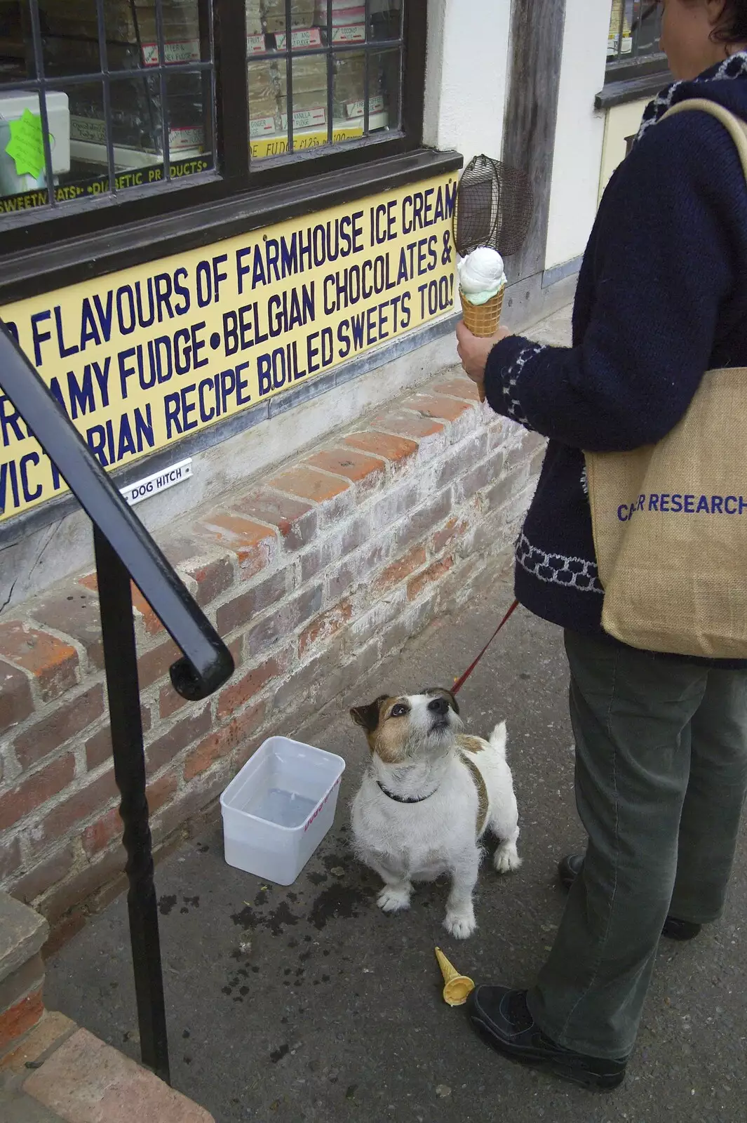 A small dog waits hopefully for a bit of ice-cream, from A Road Trip in an MX-5, and Athlete at the UEA, Lavenham and Norwich - 14th October 2007