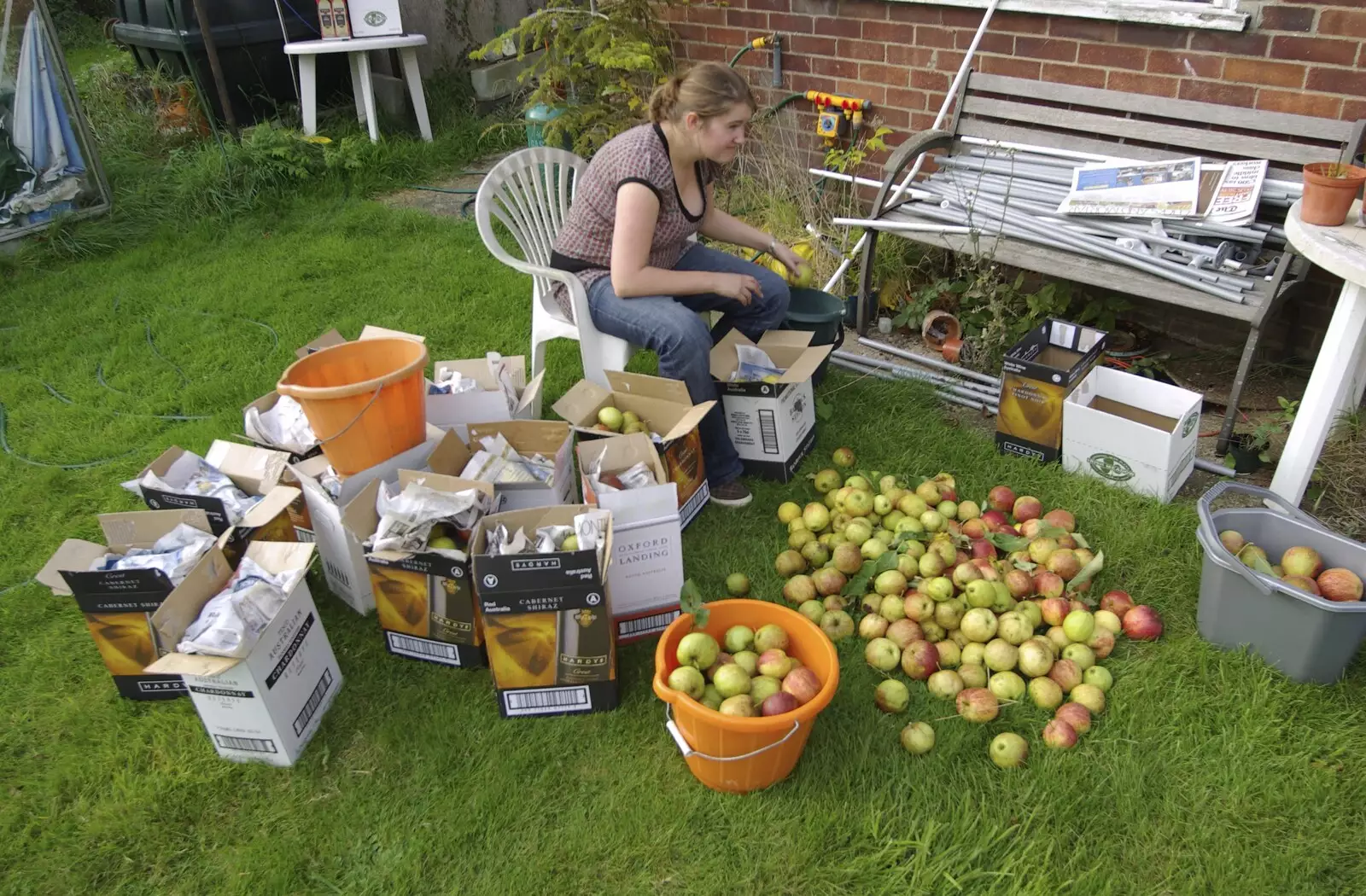 Isobel works on packing apples, from Coldham's Traffic Light Destruction, and a Trip to the Pier, Cambridge and Southwold - 21st October 2007