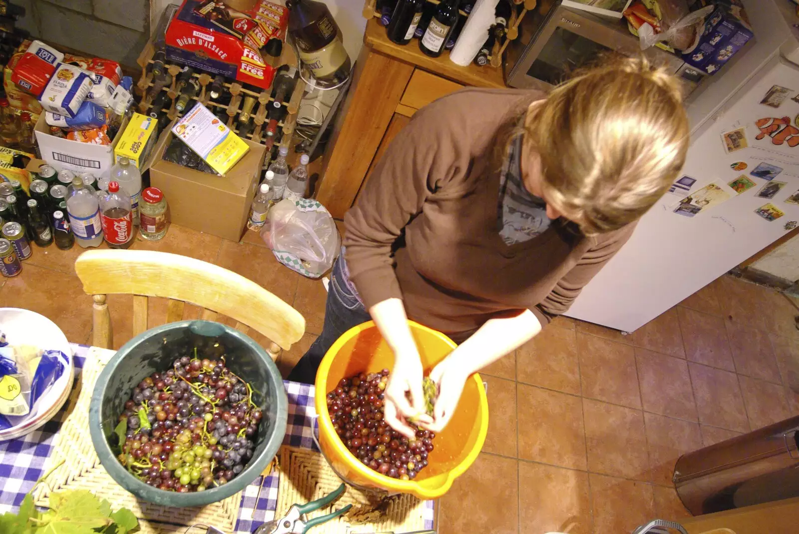 Isobel picks grapes, from Coldham's Traffic Light Destruction, and a Trip to the Pier, Cambridge and Southwold - 21st October 2007