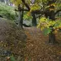 Autumn woods near Killiney Point, Co. Dublin, Apple Pressing, and Isobel's 30th in Blackrock, Dublin, Ireland - 2nd November 2007