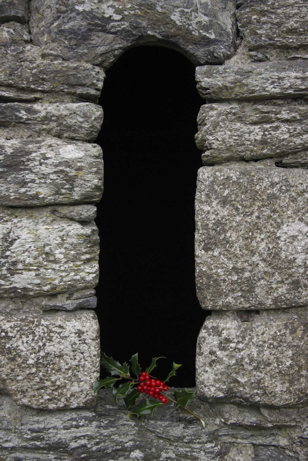 A sprig of holly in the ruins of a priest's house from Reflections: A Day at Glendalough, County Wicklow, Ireland - 3rd November 2007