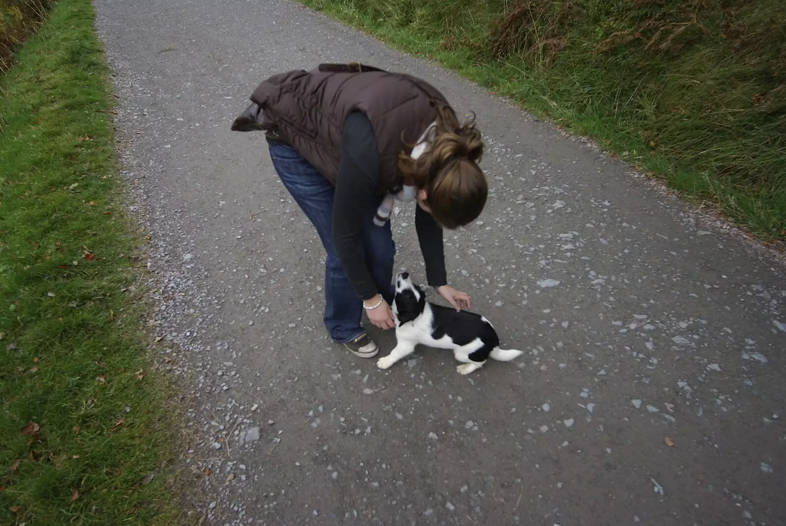 Isobel interacts with a small puppy, from Reflections: A Day at Glendalough, County Wicklow, Ireland - 3rd November 2007