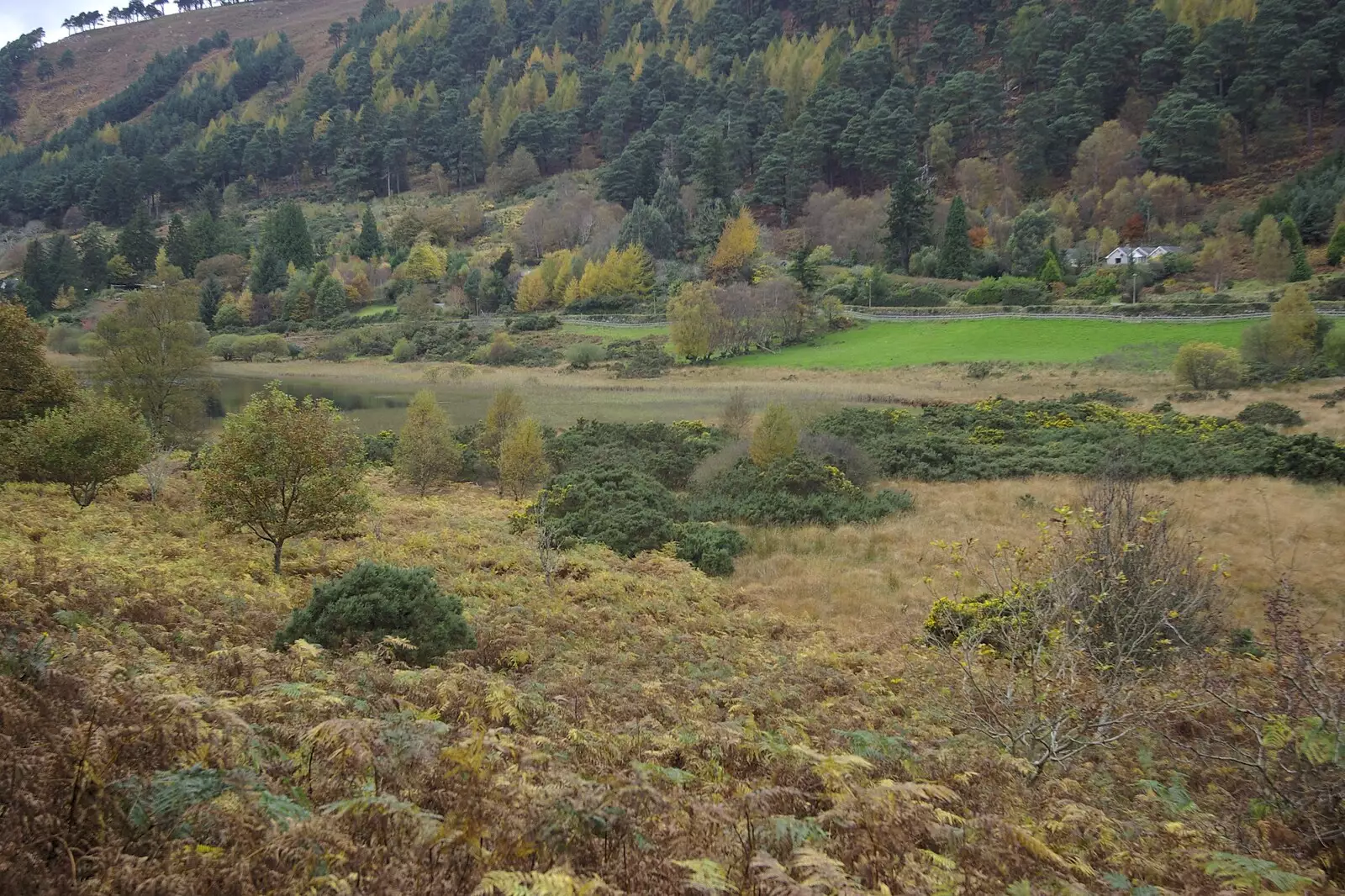 A wooded valley, from Reflections: A Day at Glendalough, County Wicklow, Ireland - 3rd November 2007