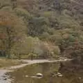 The lake and the woods are all red and browns, Reflections: A Day at Glendalough, County Wicklow, Ireland - 3rd November 2007