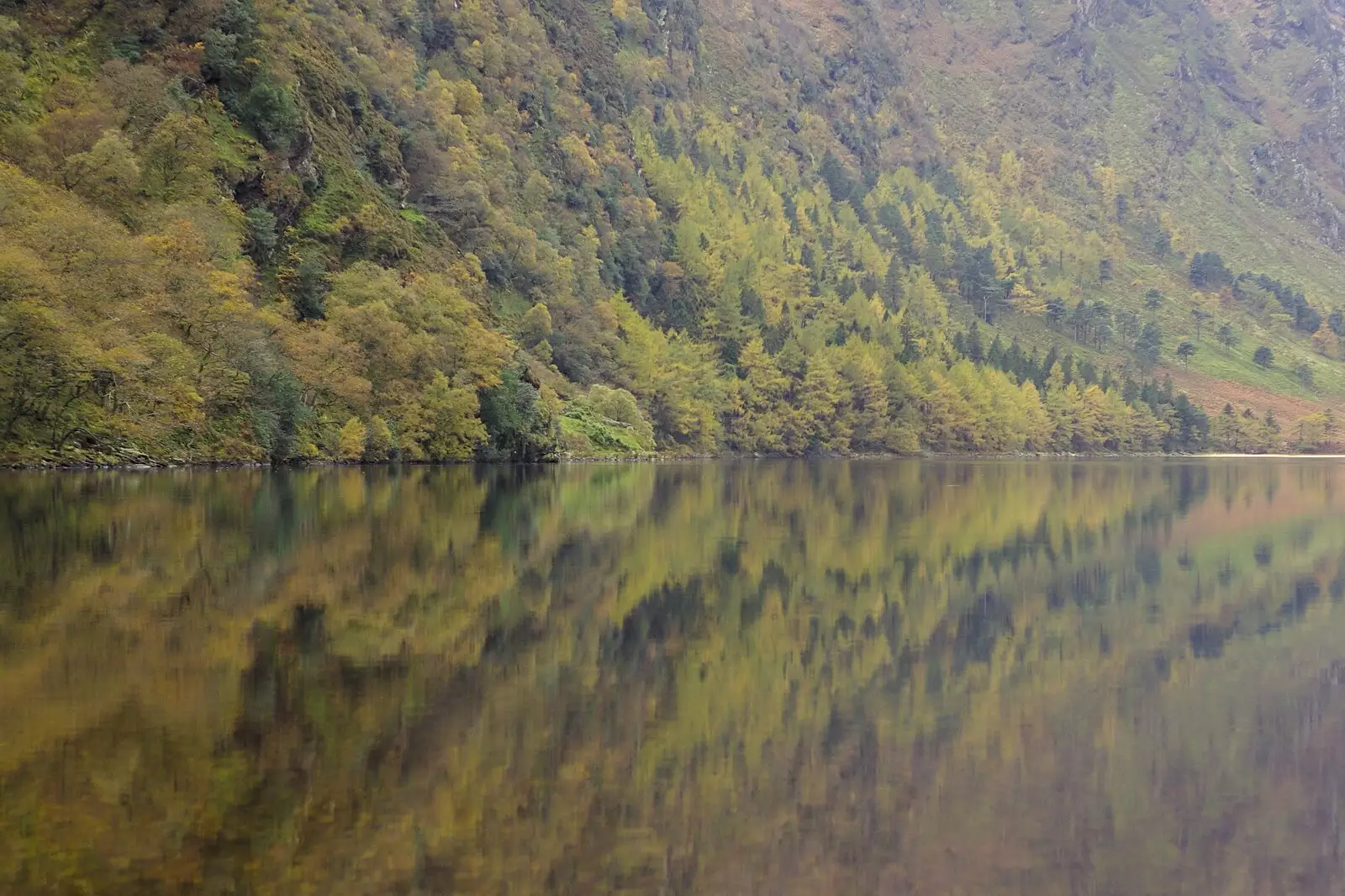 Autumn reflections in the water of Glendalough, from Reflections: A Day at Glendalough, County Wicklow, Ireland - 3rd November 2007