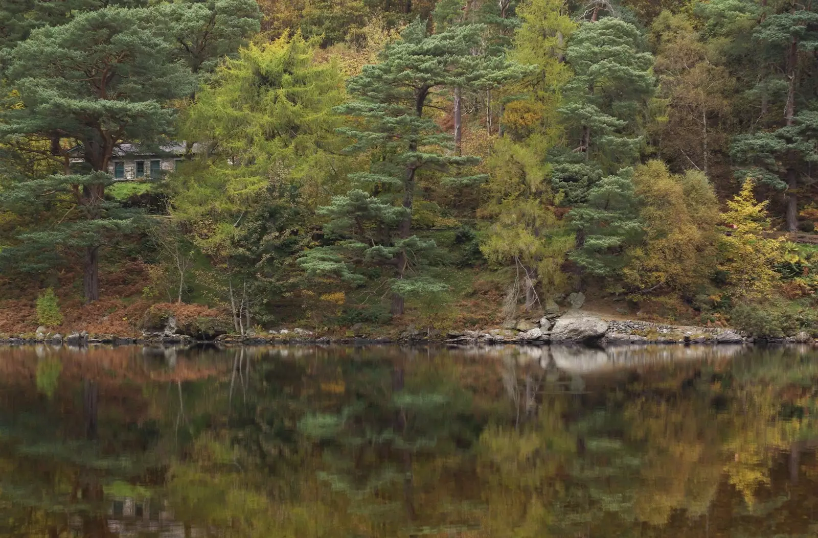 More reflected trees, from Reflections: A Day at Glendalough, County Wicklow, Ireland - 3rd November 2007