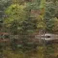 More reflected trees, Reflections: A Day at Glendalough, County Wicklow, Ireland - 3rd November 2007