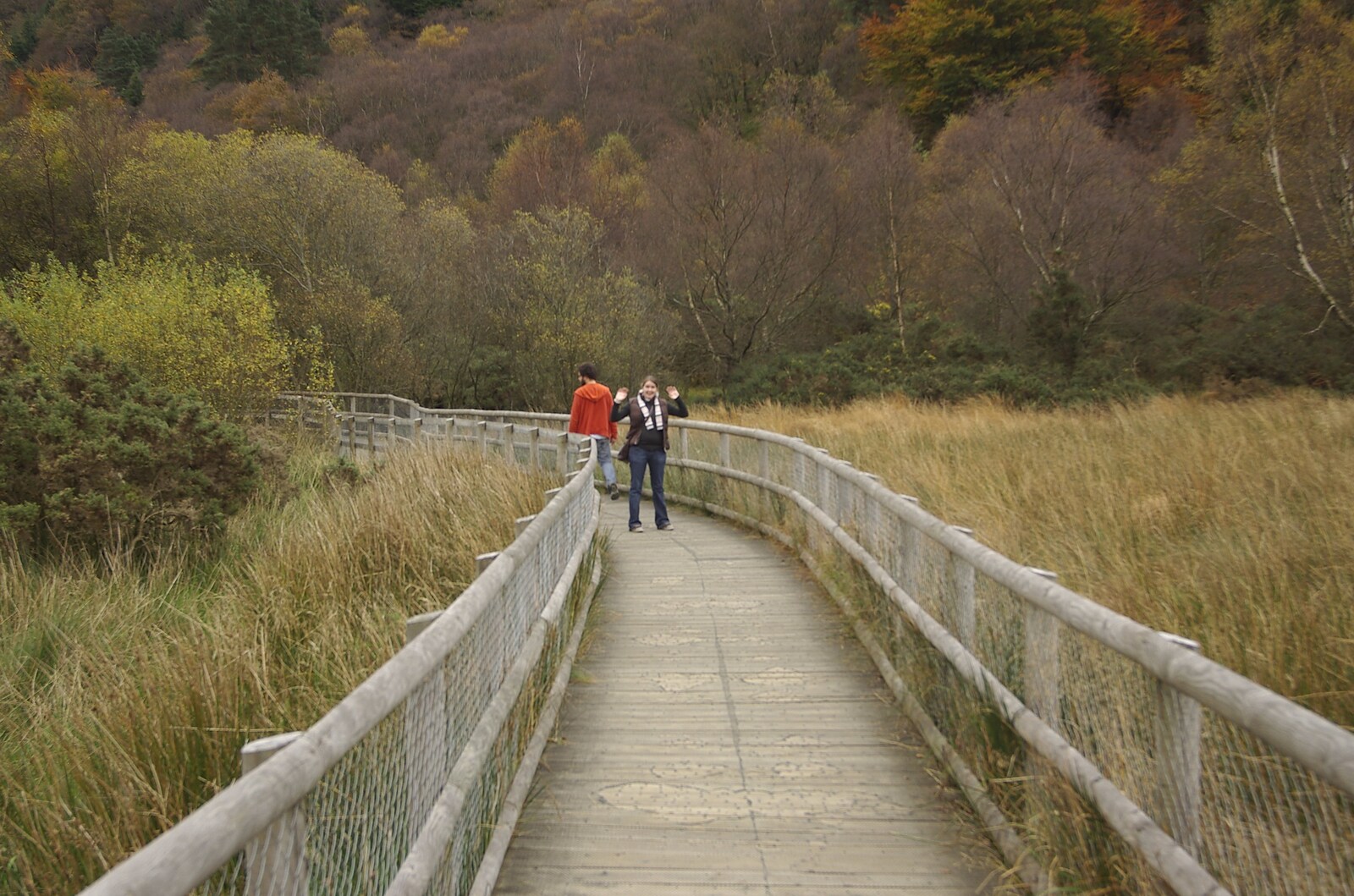 Reflections: A Day at Glendalough, County Wicklow, Ireland - 3rd November 2007: Isobel waves from a boardwalk