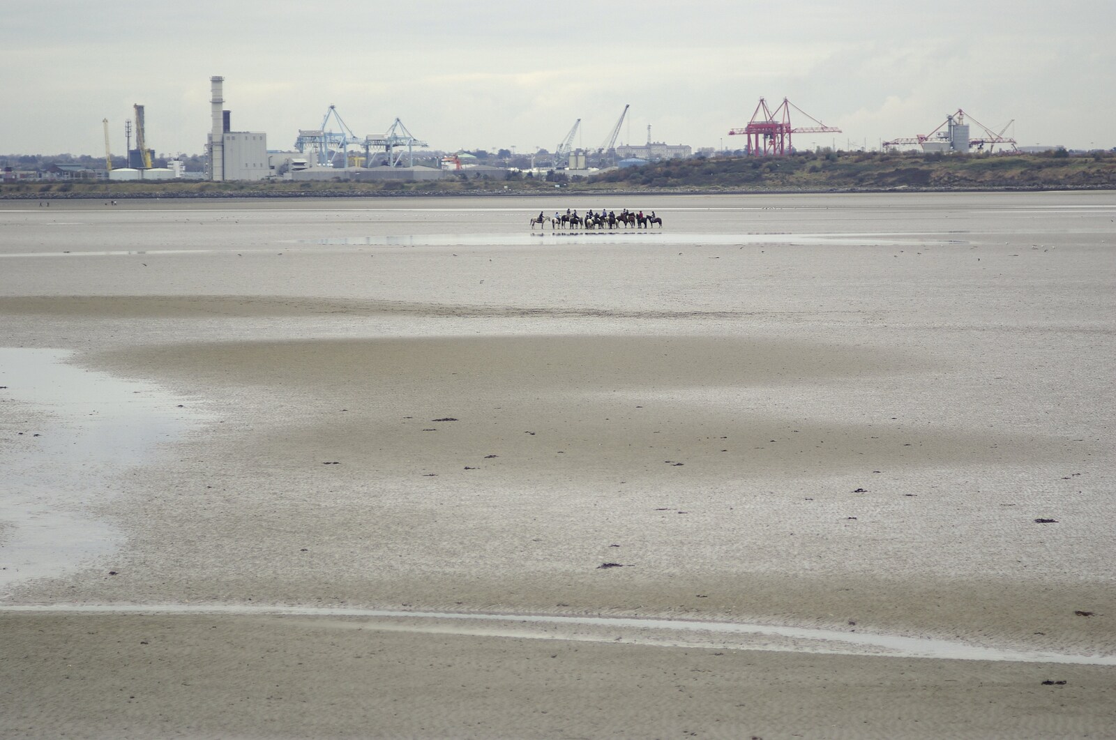 Reflections: A Day at Glendalough, County Wicklow, Ireland - 3rd November 2007: Horses gather out on Dublin Bay mud flats