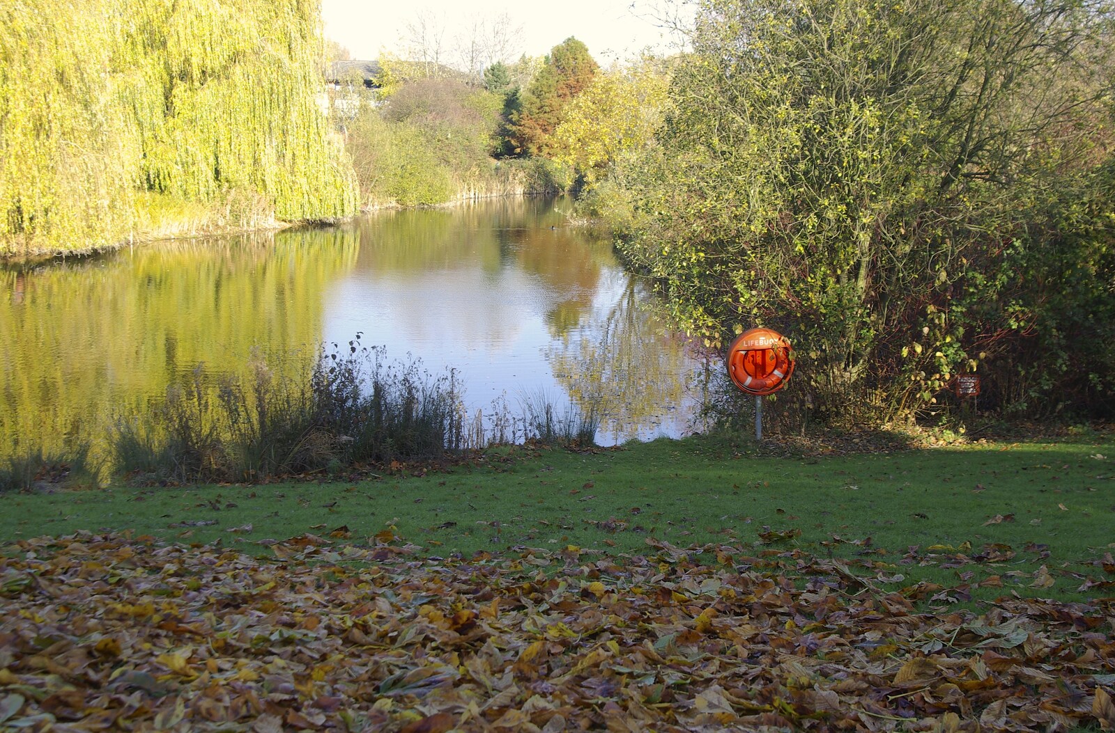 Isobel and the Science Park Fun Run, Milton Road, Cambridge - 16th November 2007: The Science Park lake