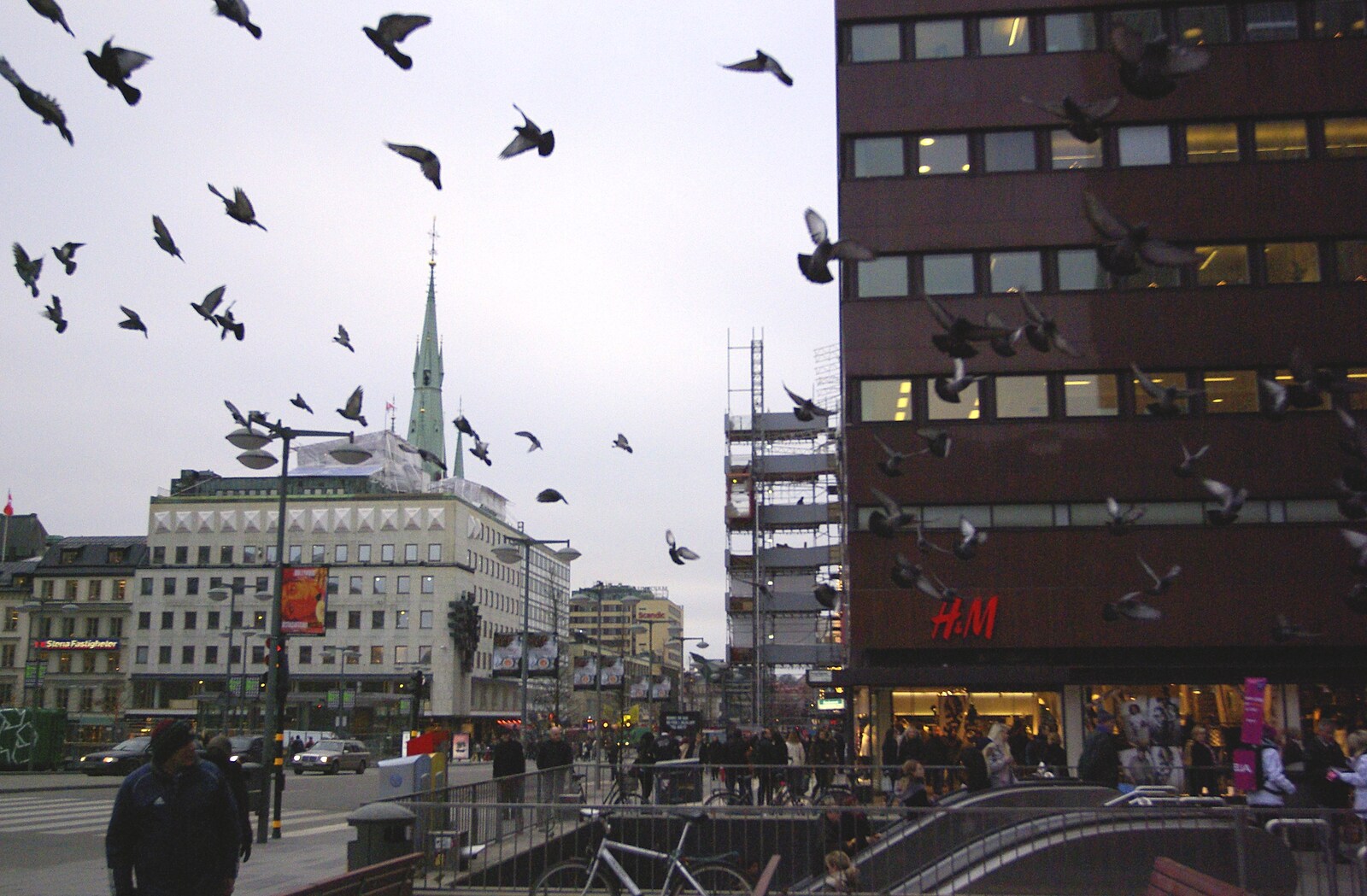 Pigeons take to the air from Gamla Stan, Stockholm, Sweden - 15th December 2007