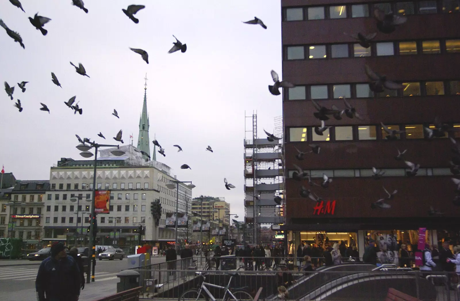 Pigeons take to the air, from Gamla Stan, Stockholm, Sweden - 15th December 2007