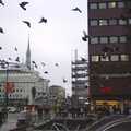 Pigeons take to the air, Gamla Stan, Stockholm, Sweden - 15th December 2007