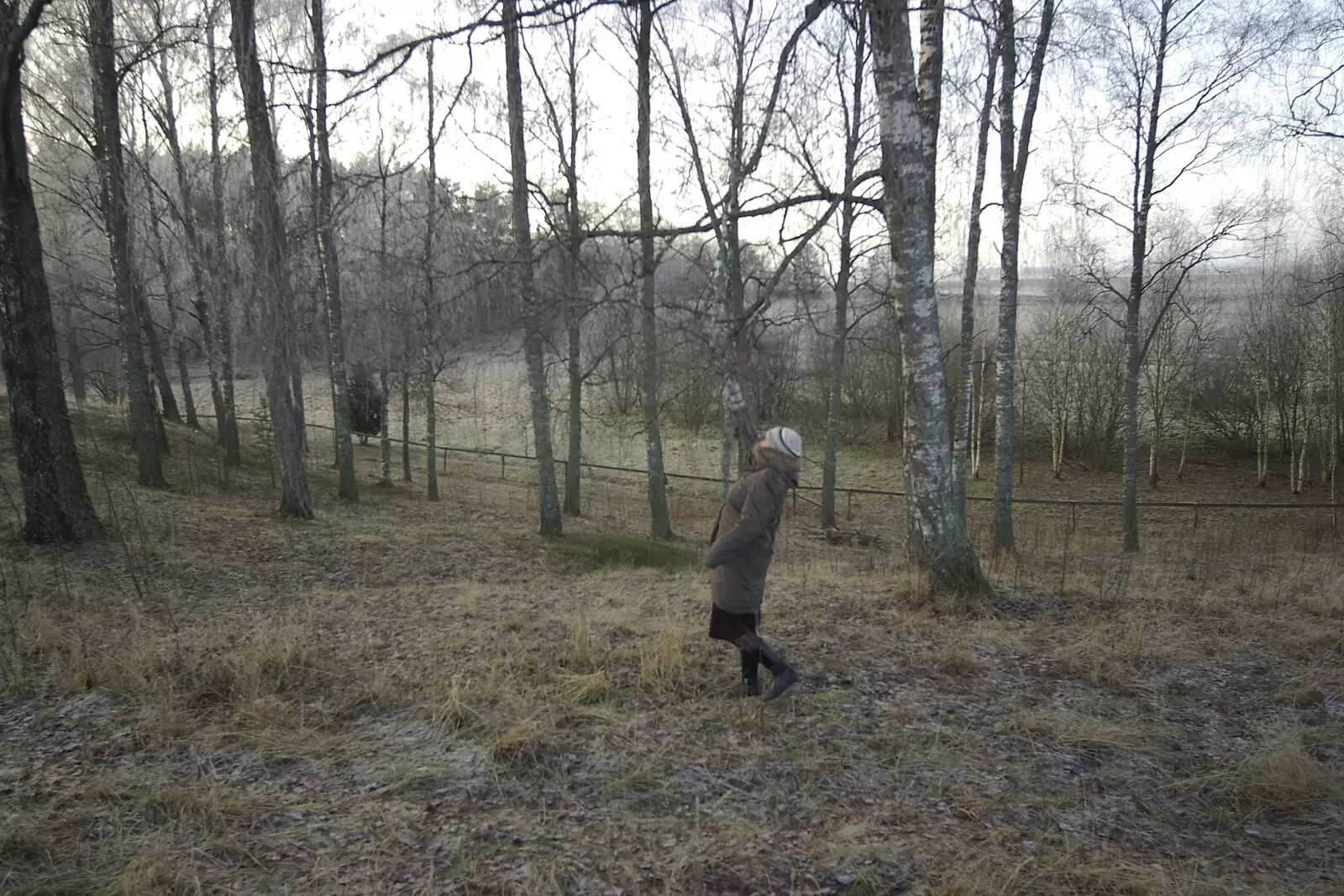 Isobel tugs at a frosty tree, from Gamla Uppsala, Uppsala County, Sweden - 16th December 2007