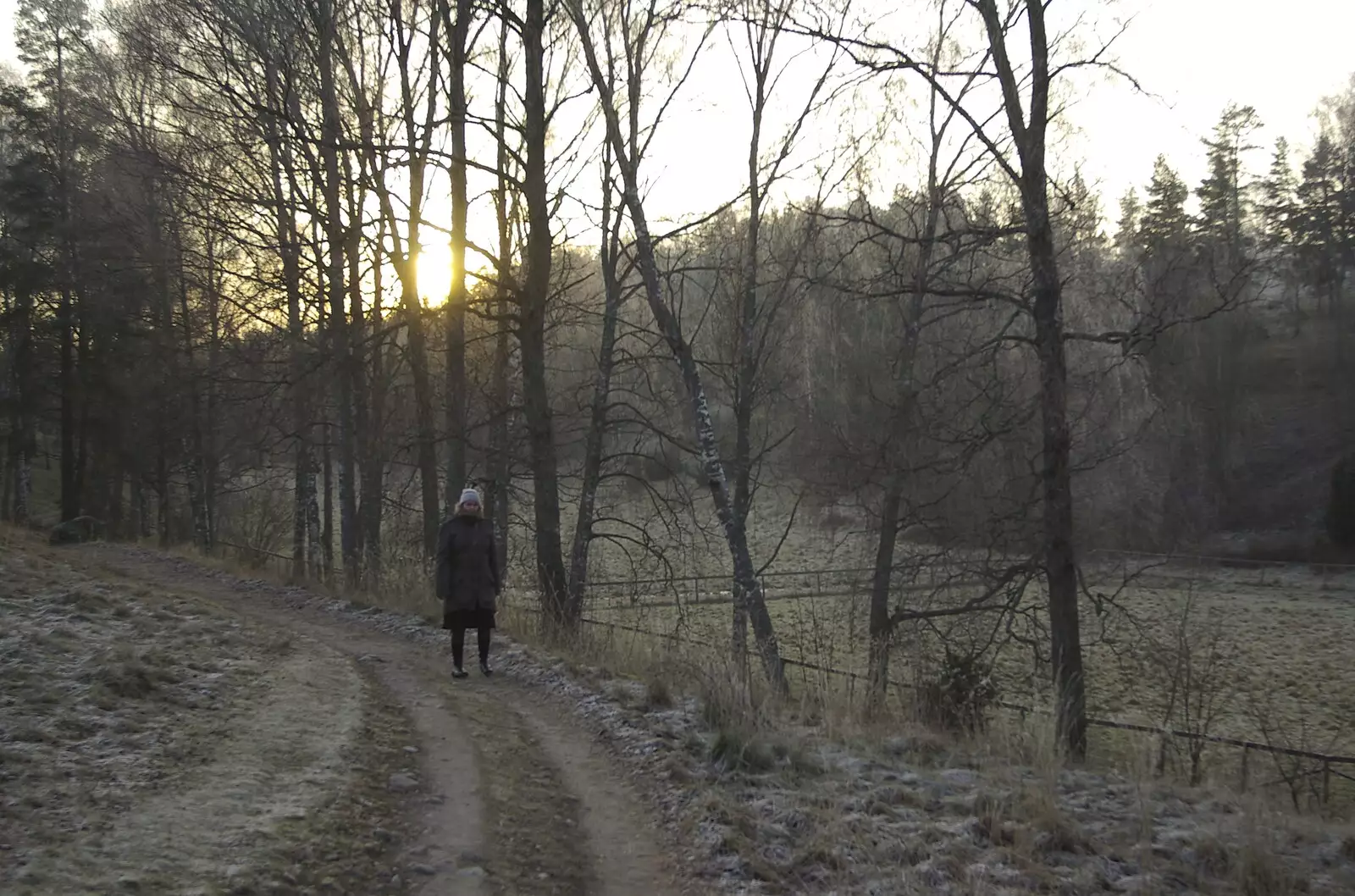 Isobel in the woods, from Gamla Uppsala, Uppsala County, Sweden - 16th December 2007