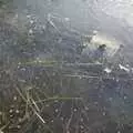 There's a frozen telegraph pole under the ice, Gamla Uppsala, Uppsala County, Sweden - 16th December 2007