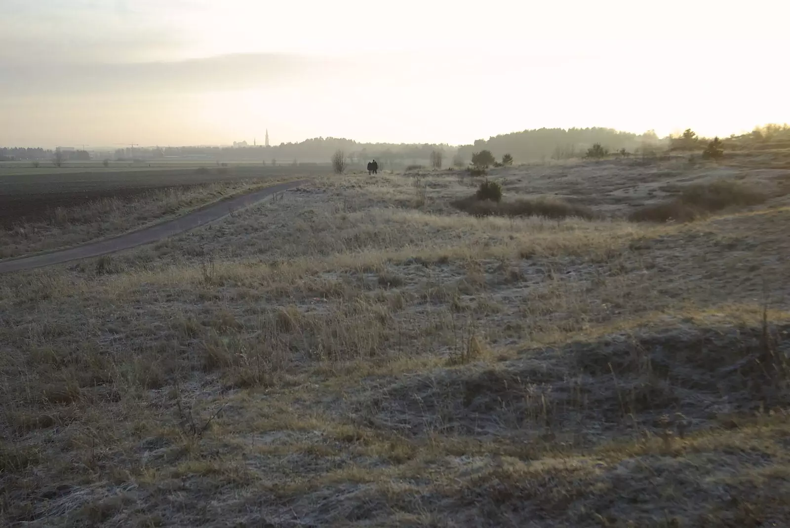 Another frozen scene, from Gamla Uppsala, Uppsala County, Sweden - 16th December 2007