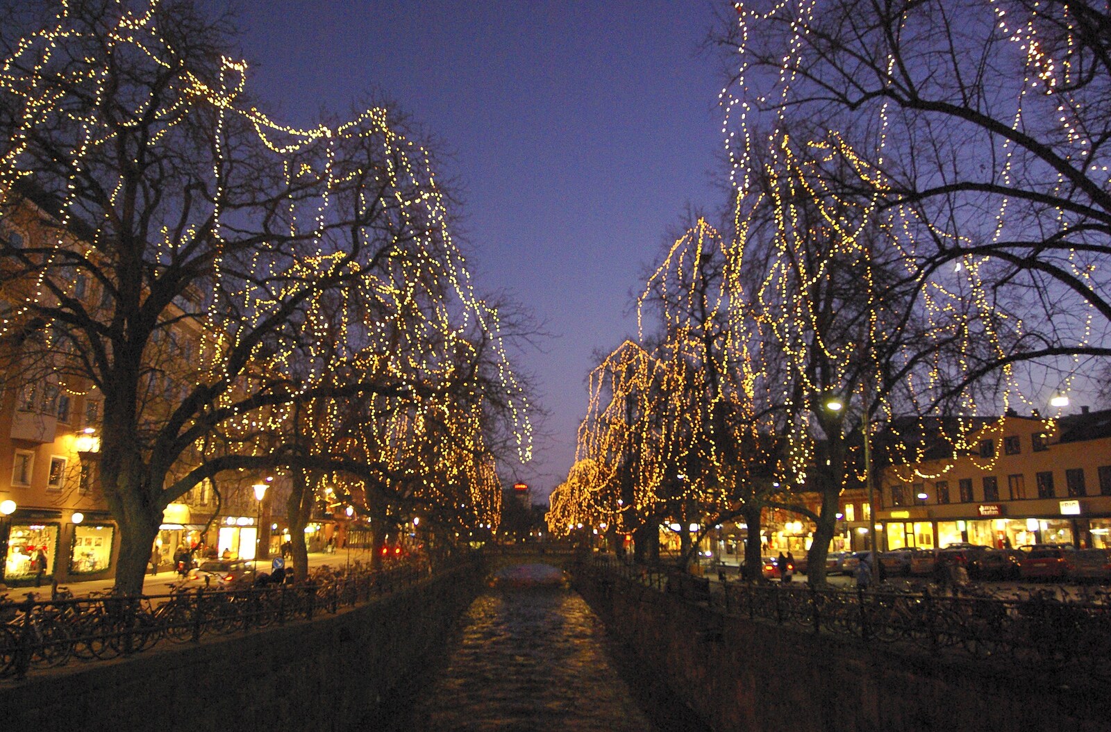 Illuminated trees from Gamla Uppsala, Uppsala County, Sweden - 16th December 2007