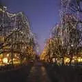 Illuminated trees, Gamla Uppsala, Uppsala County, Sweden - 16th December 2007