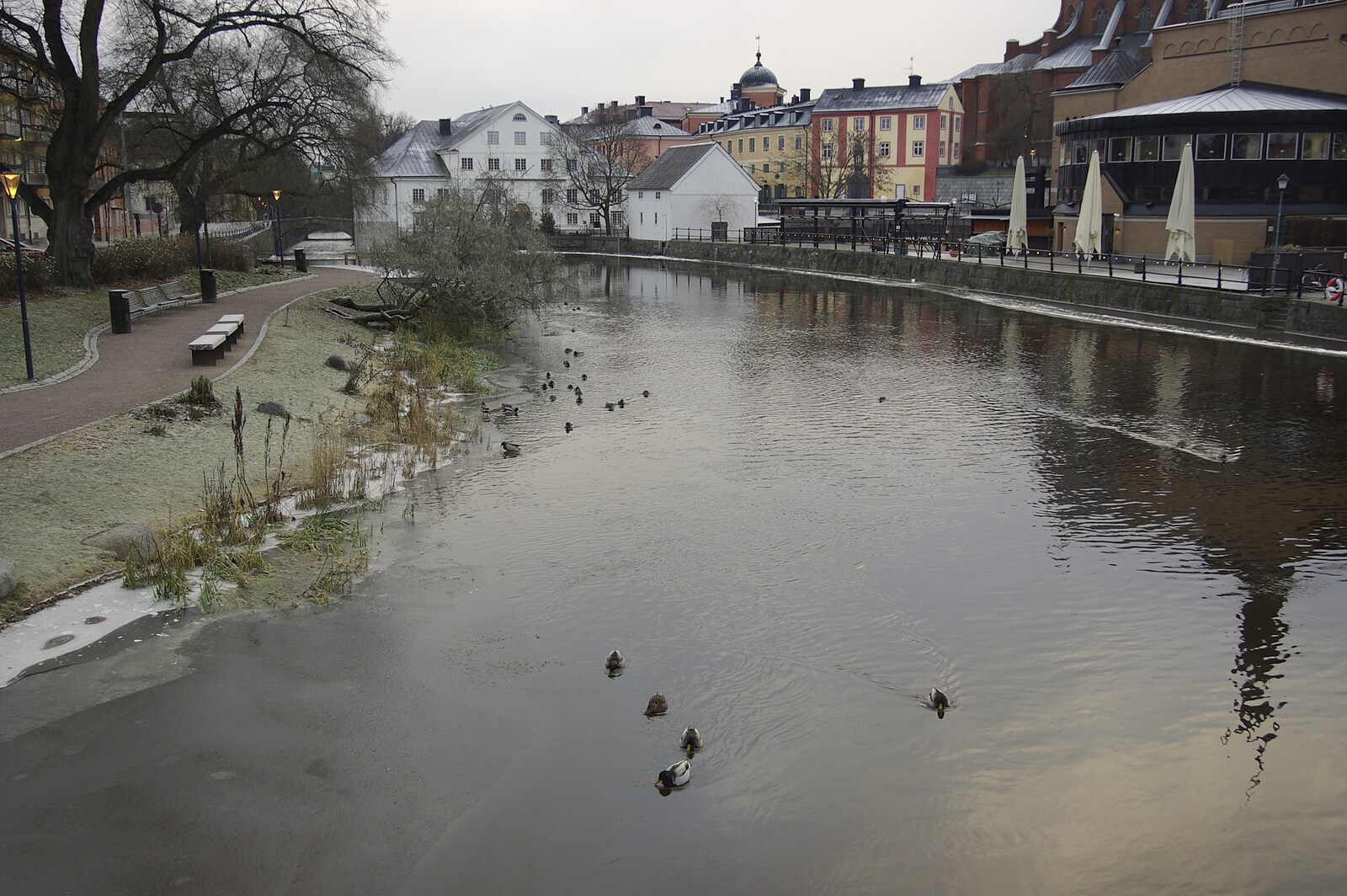 Ducks on Uppsala's river from Gamla Uppsala, Uppsala County, Sweden - 16th December 2007