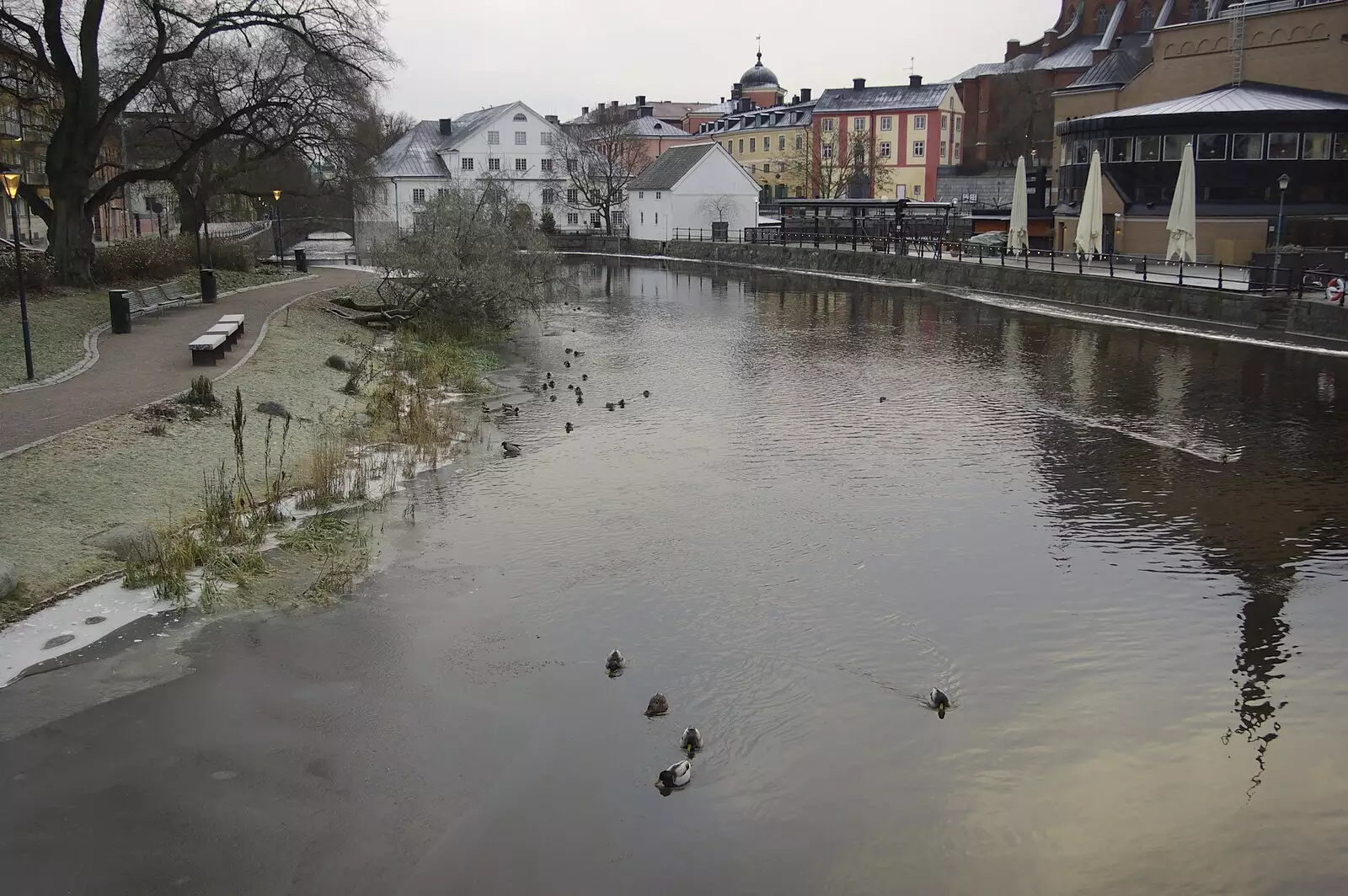 Ducks on Uppsala's river, from Gamla Uppsala, Uppsala County, Sweden - 16th December 2007