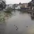 Ducks on Uppsala's river, Gamla Uppsala, Uppsala County, Sweden - 16th December 2007