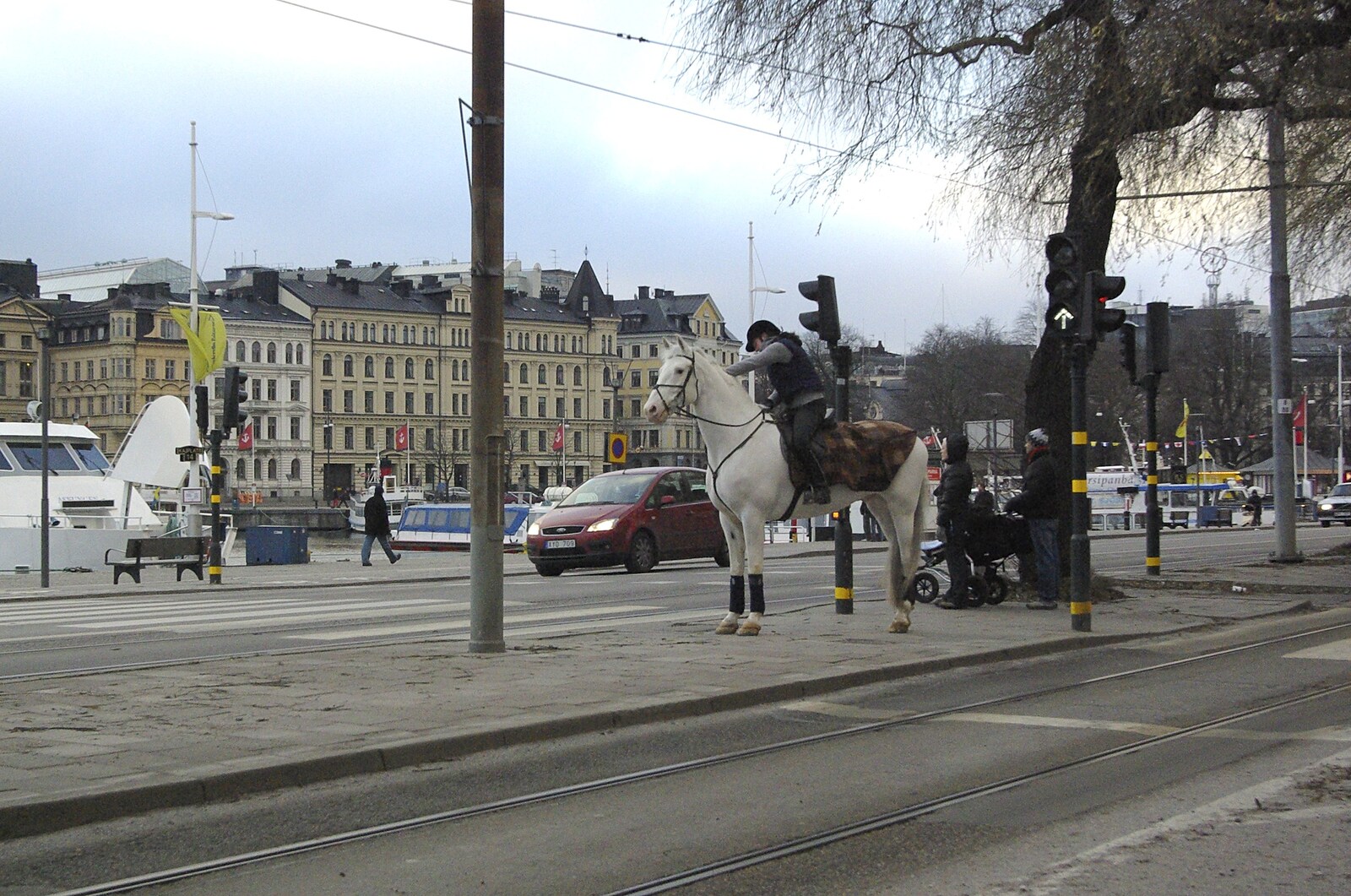 A horse waits to cross the road at a pedestrian crossing from A Few Hours in Skansen, Stockholm, Sweden - 17th December 2007